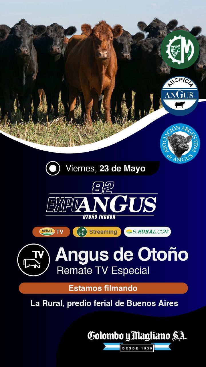 Imagen de Colombo y Magliano "82º Expo Angus"